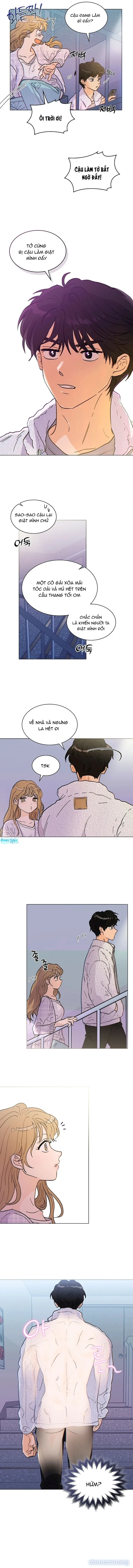 Mãnh Hổ Nhà Bên 