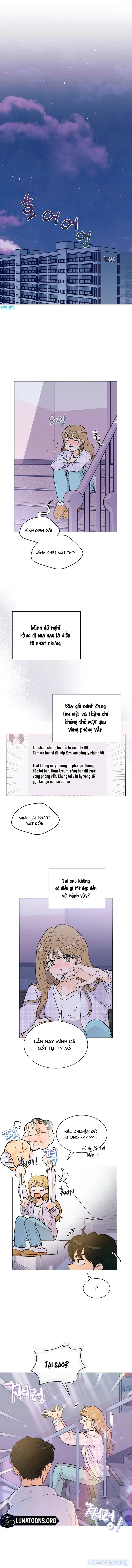 Mãnh Hổ Nhà Bên 