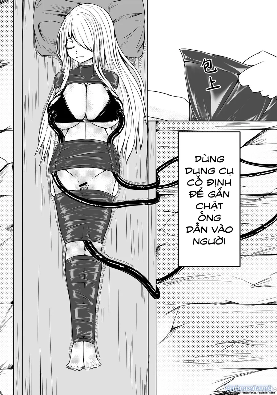 Thì Thầm Dẫn Lối 