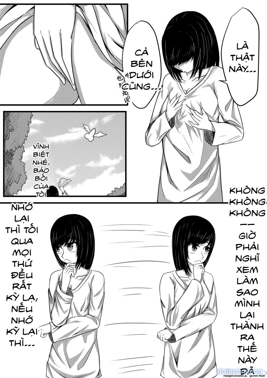 Thì Thầm Dẫn Lối 