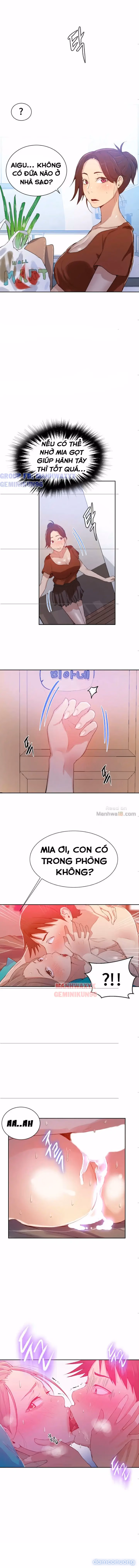 Cả nhà mở lớp dạy yêu cho tôi 