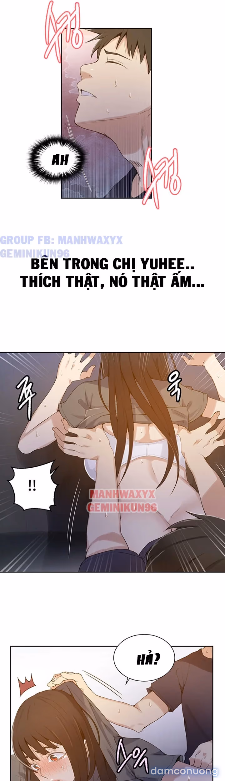 Cả nhà mở lớp dạy yêu cho tôi 
