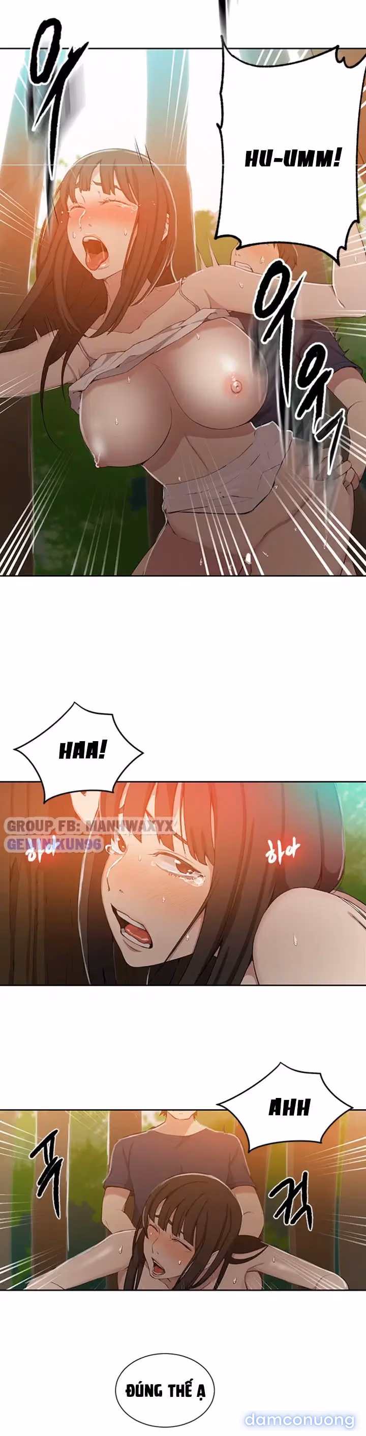 Cả nhà mở lớp dạy yêu cho tôi 