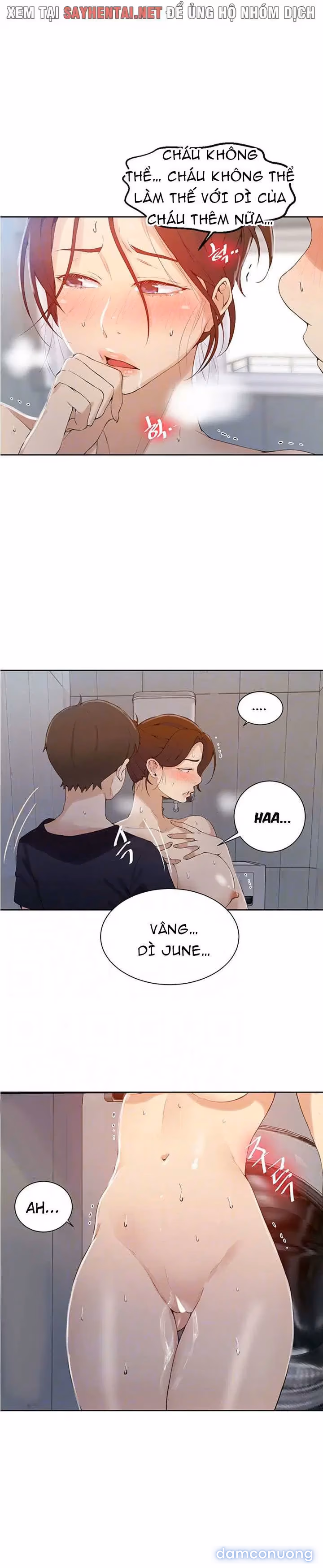Cả nhà mở lớp dạy yêu cho tôi 