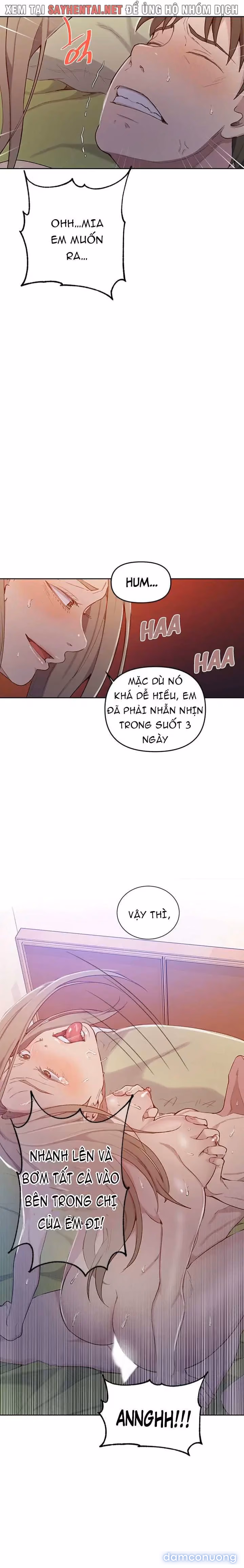 Cả nhà mở lớp dạy yêu cho tôi 