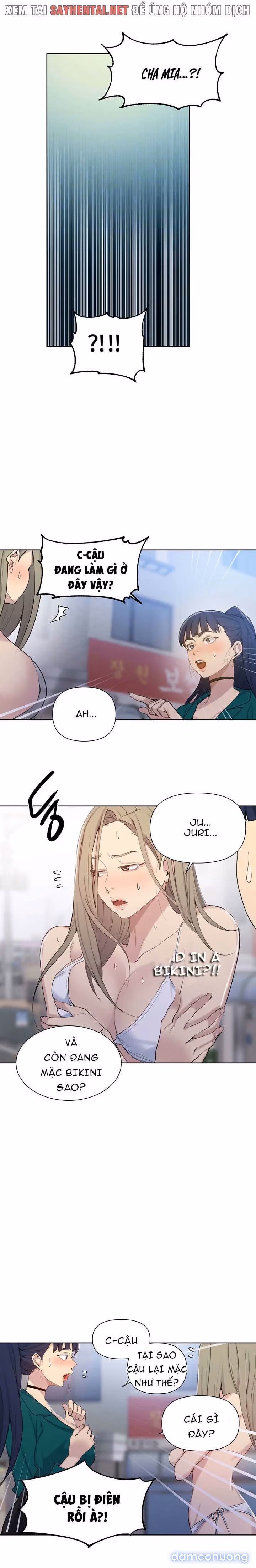 Cả nhà mở lớp dạy yêu cho tôi 