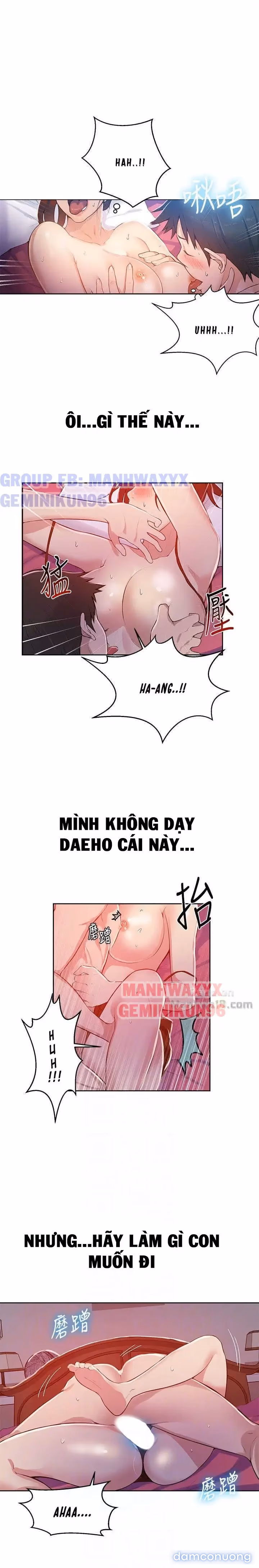 Cả nhà mở lớp dạy yêu cho tôi 