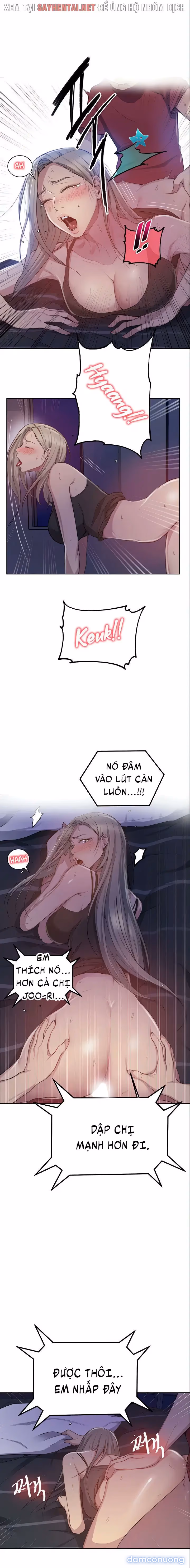 Cả nhà mở lớp dạy yêu cho tôi 