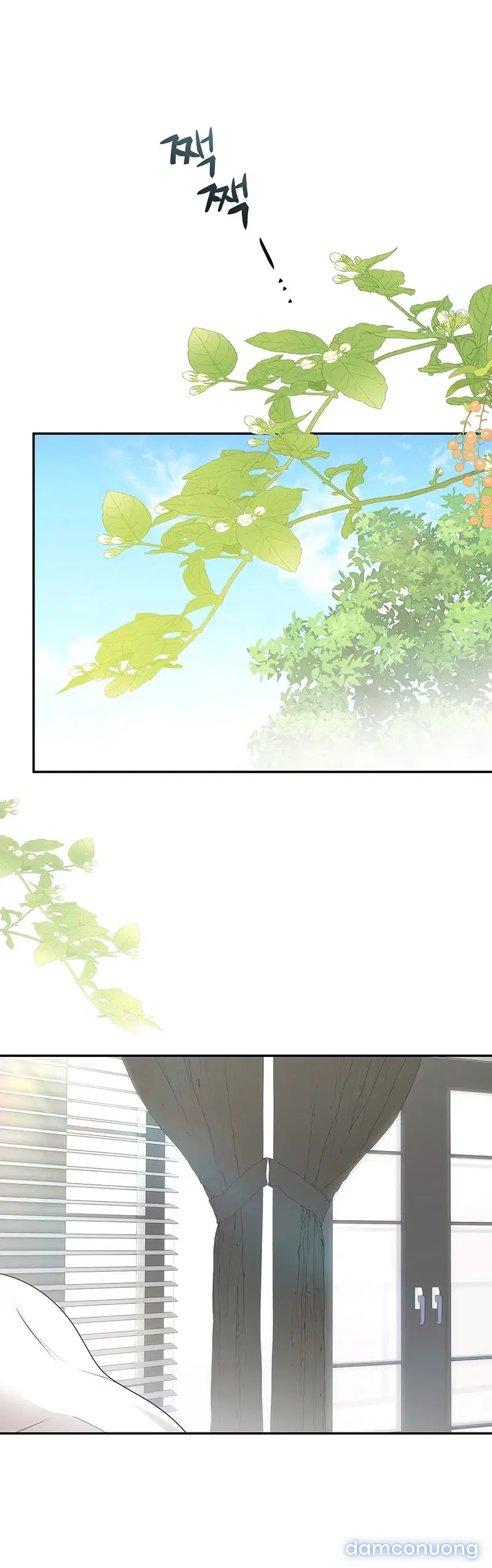 Hôn Nhân Không Lối Thoát 