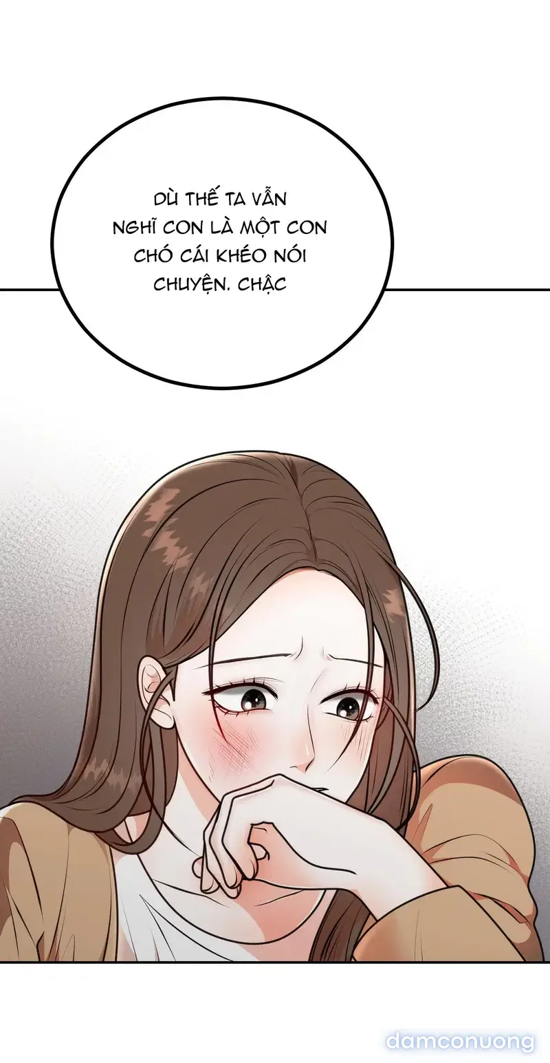 Hôn Nhân Không Lối Thoát 