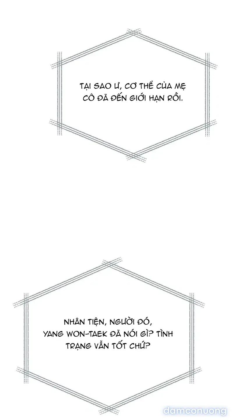Hôn Nhân Không Lối Thoát 