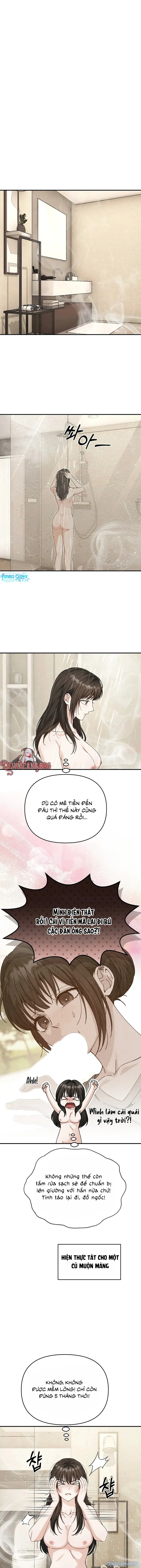 Thuần Ái Vs Thực Dụng 