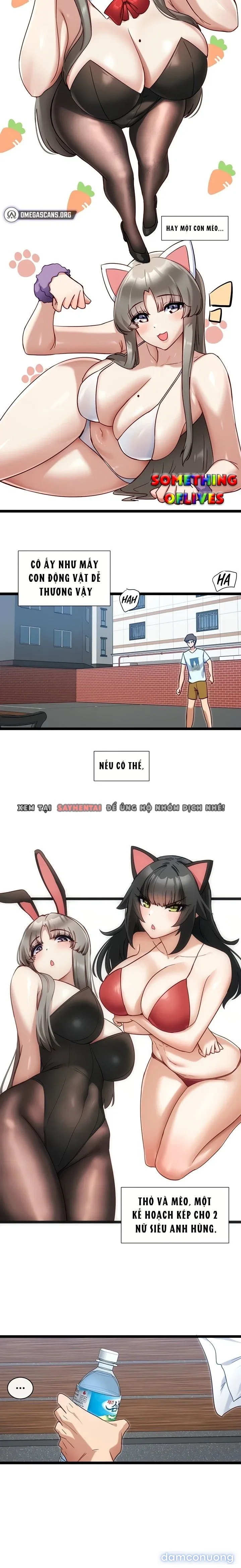 Ứng Dụng Mê Hoặc 