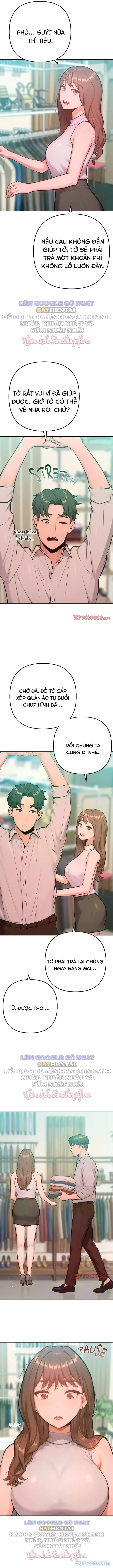 Chúng Tôi Đơn Giản Là Gấu Của Nhau 