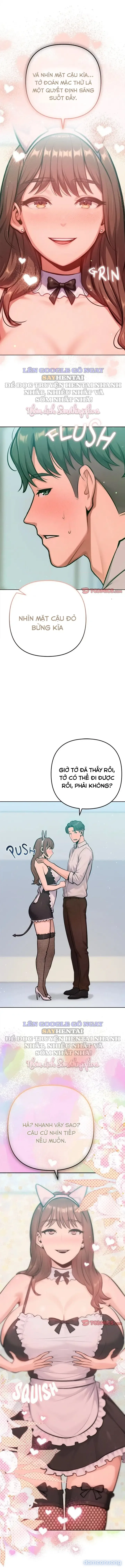Chúng Tôi Đơn Giản Là Gấu Của Nhau 