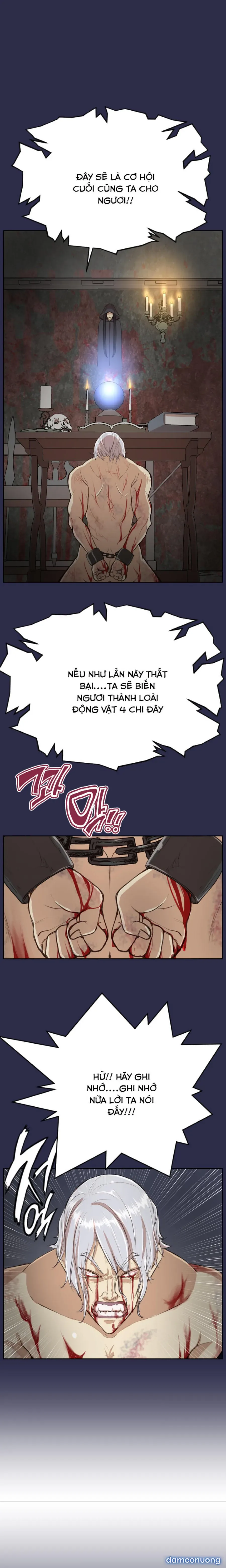 Nô Lệ Thượng Hạng 