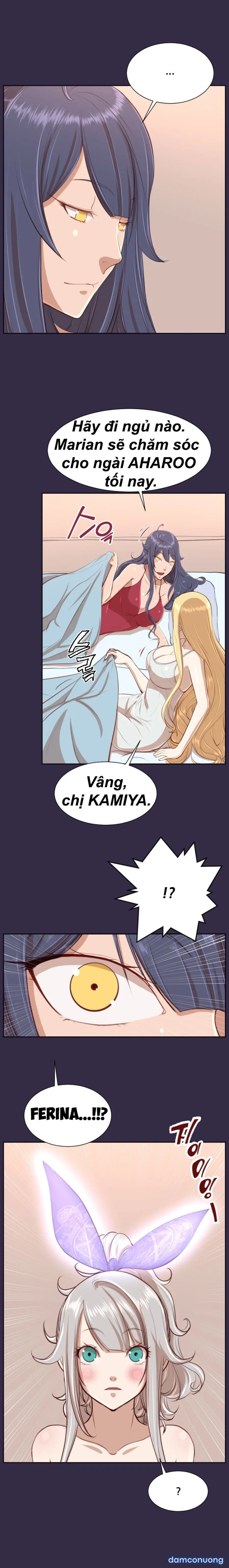 Nô Lệ Thượng Hạng 
