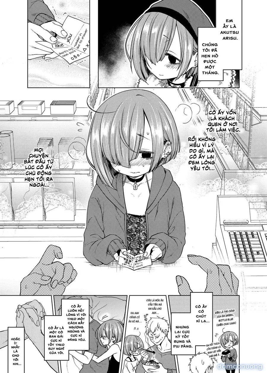Ippai Ijimete, Ippai Aishite. 