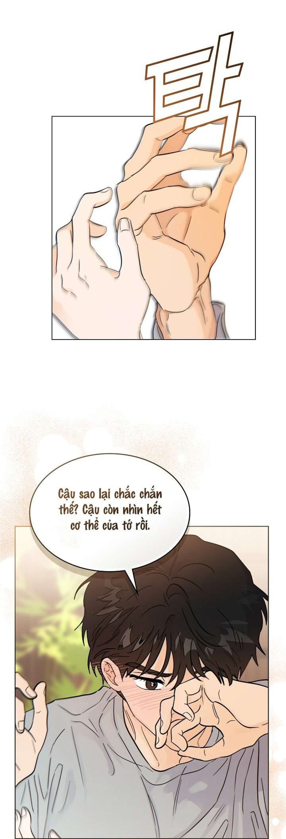Nhà Bên Cạnh Có Hổ 