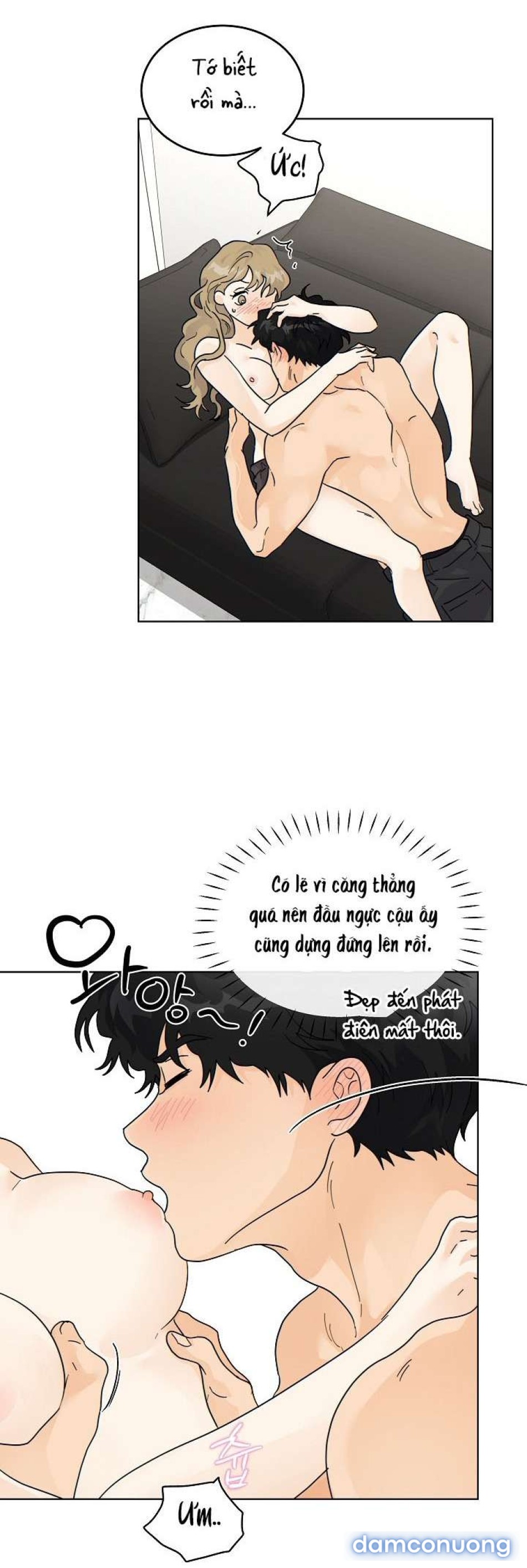 Nhà Bên Cạnh Có Hổ 
