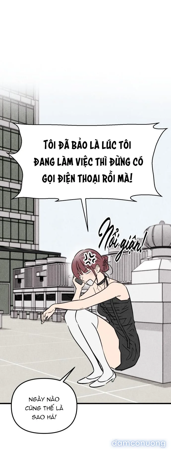Câu Lạc Bộ Chị Đẹp 