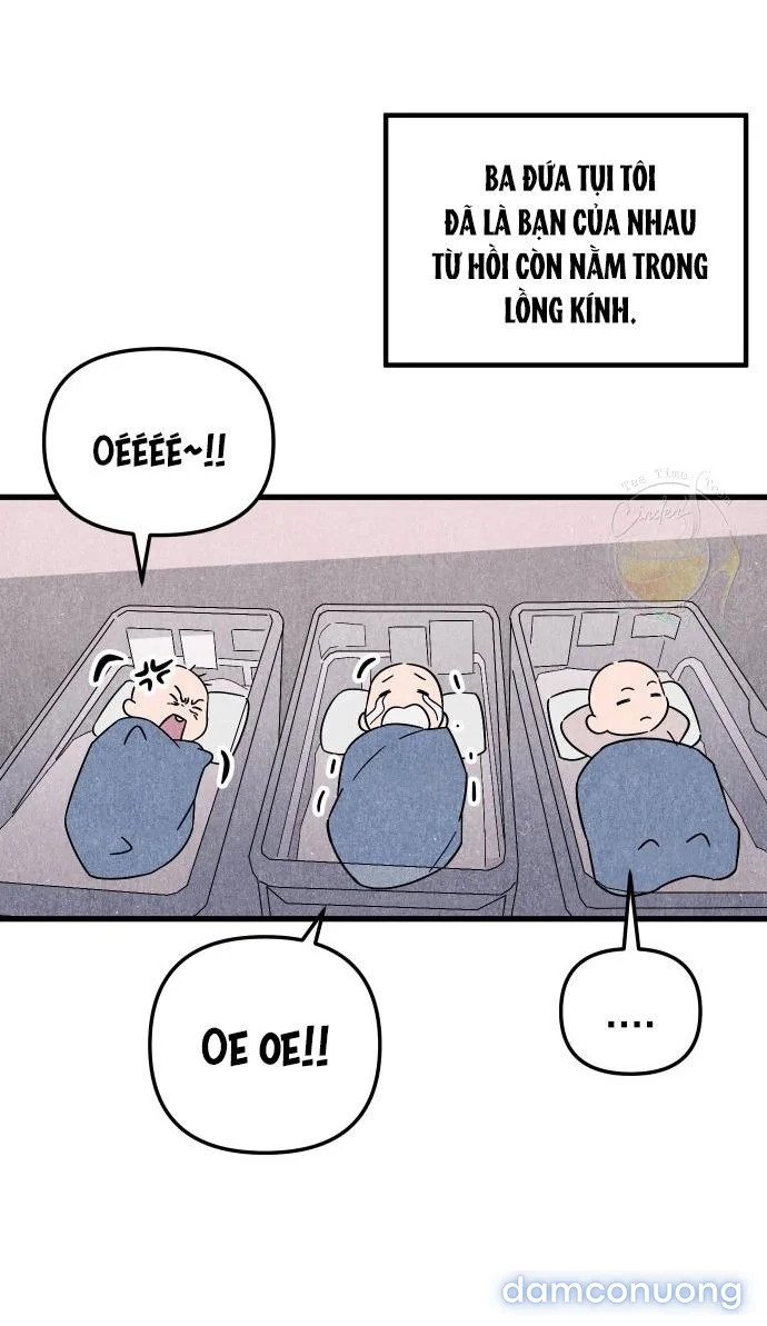 Câu Lạc Bộ Chị Đẹp 