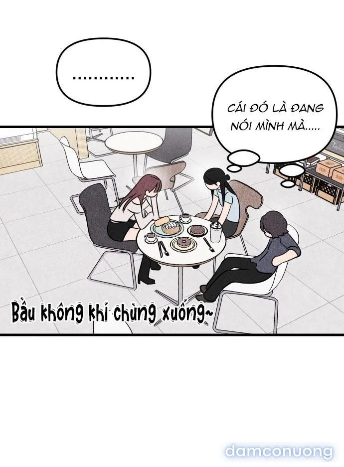 Câu Lạc Bộ Chị Đẹp 
