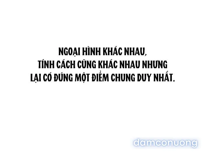 Câu Lạc Bộ Chị Đẹp 