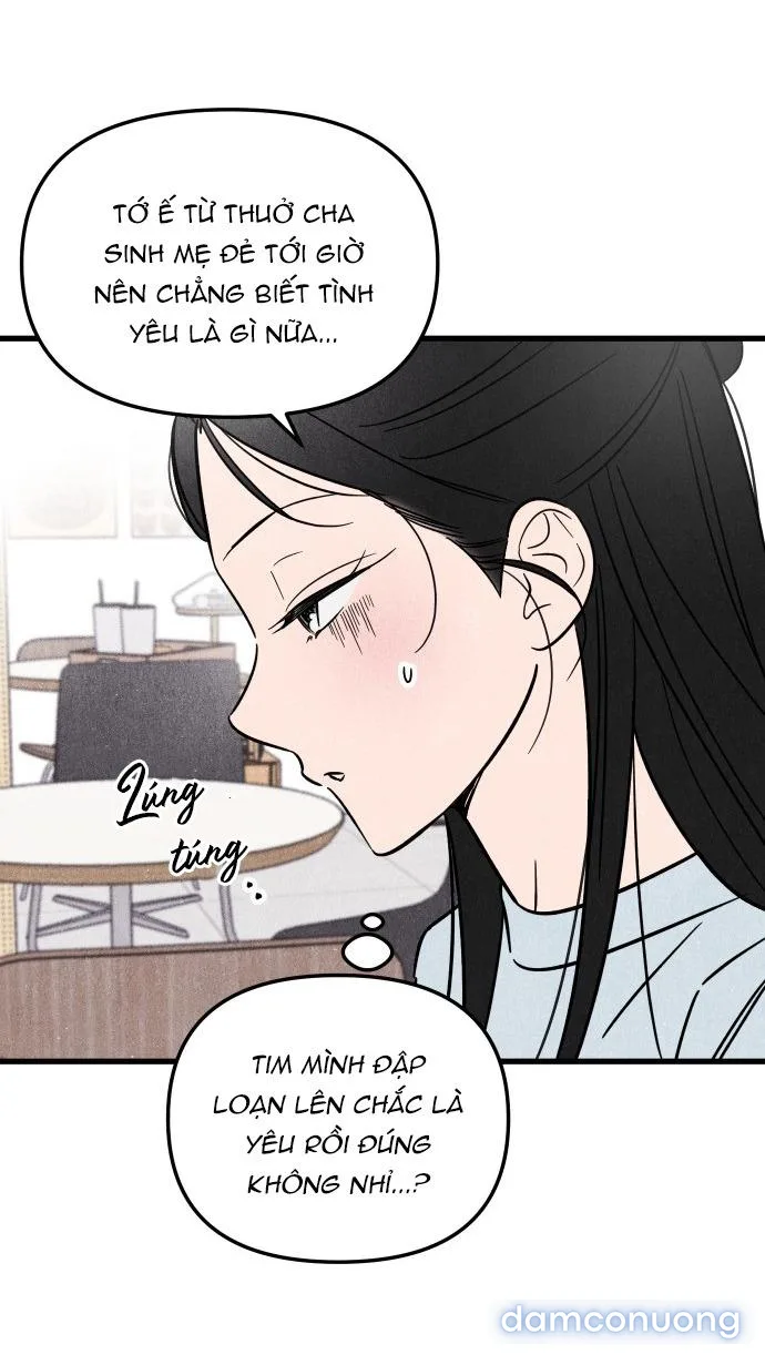 Câu Lạc Bộ Chị Đẹp 