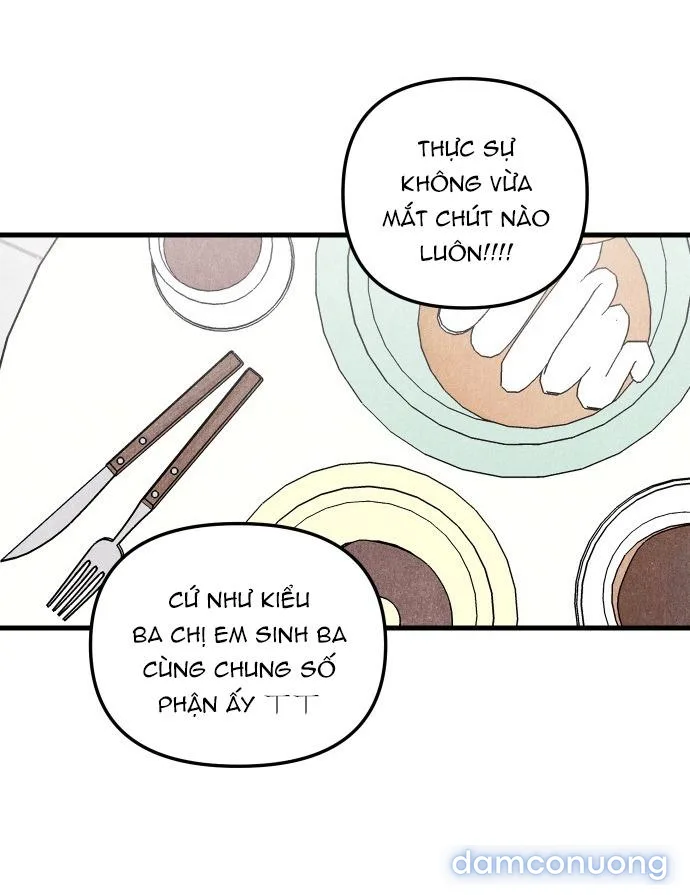 Câu Lạc Bộ Chị Đẹp 