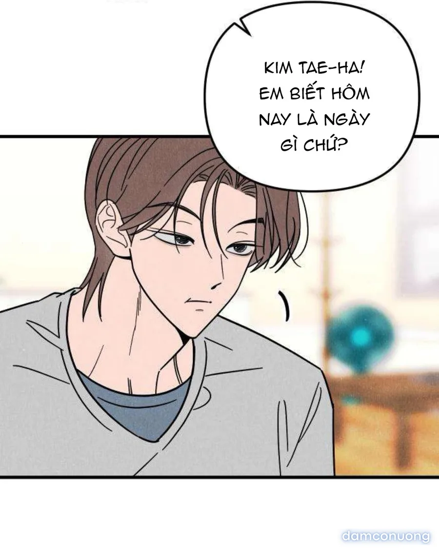 Câu Lạc Bộ Chị Đẹp 