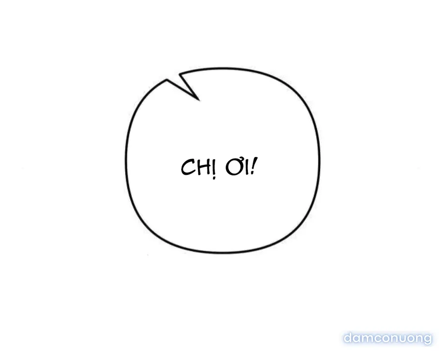 Câu Lạc Bộ Chị Đẹp 