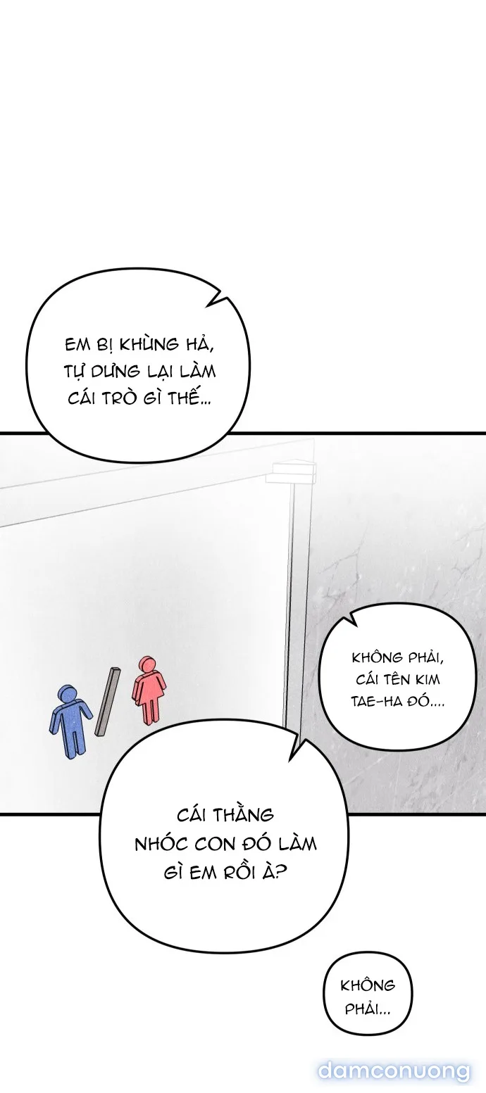 Câu Lạc Bộ Chị Đẹp 