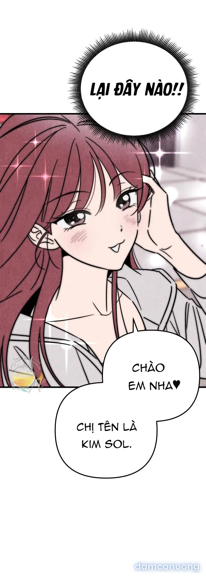 Câu Lạc Bộ Chị Đẹp 