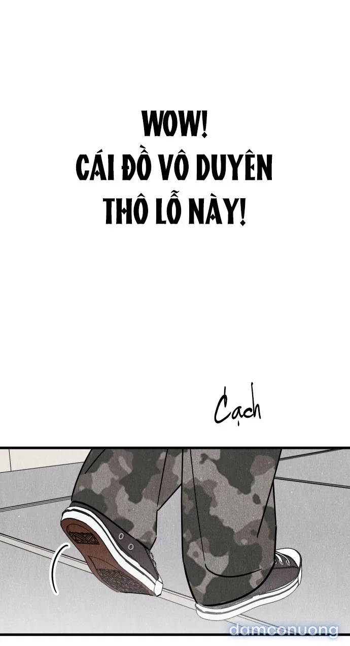 Câu Lạc Bộ Chị Đẹp 