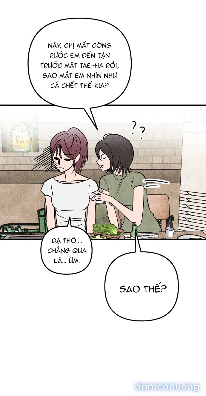Câu Lạc Bộ Chị Đẹp 