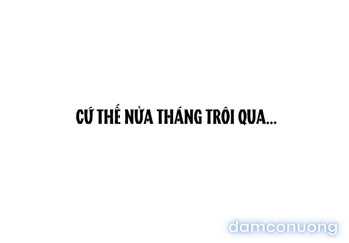 Câu Lạc Bộ Chị Đẹp 