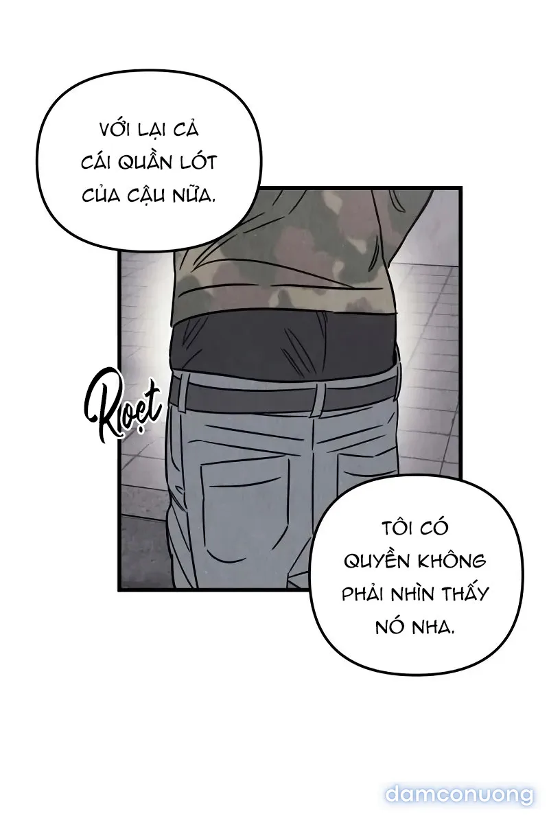 Câu Lạc Bộ Chị Đẹp 