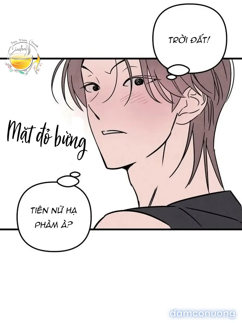 Câu Lạc Bộ Chị Đẹp 
