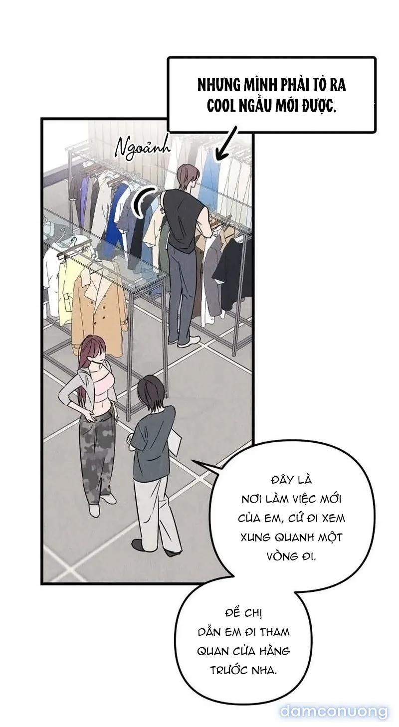 Câu Lạc Bộ Chị Đẹp 
