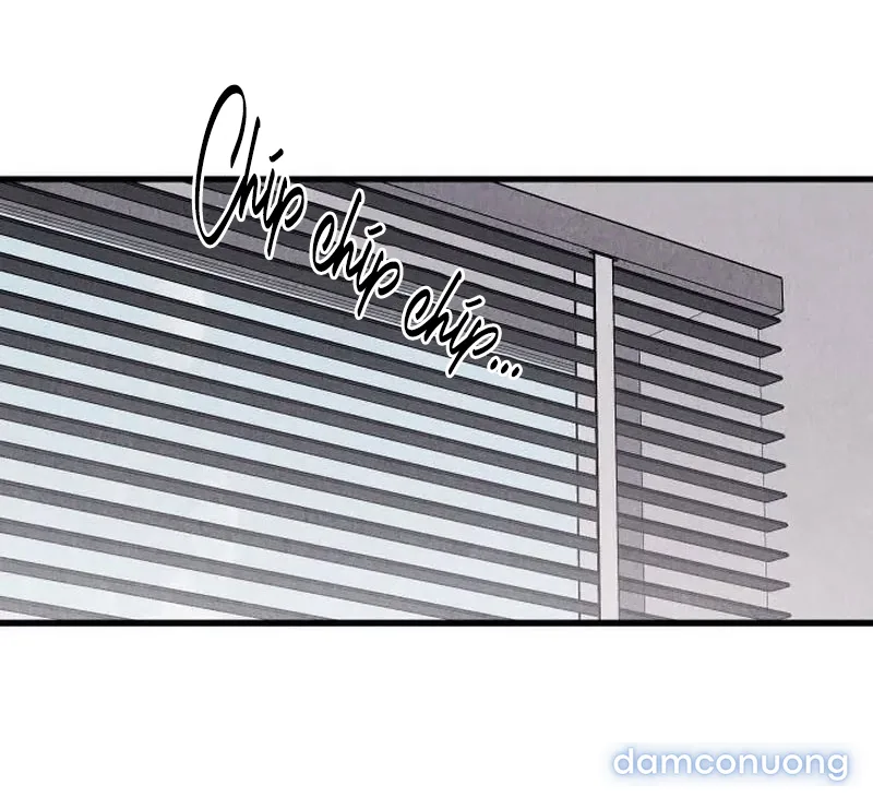 Câu Lạc Bộ Chị Đẹp 