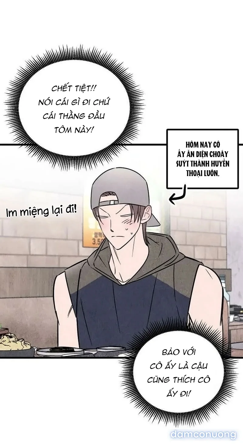 Câu Lạc Bộ Chị Đẹp 