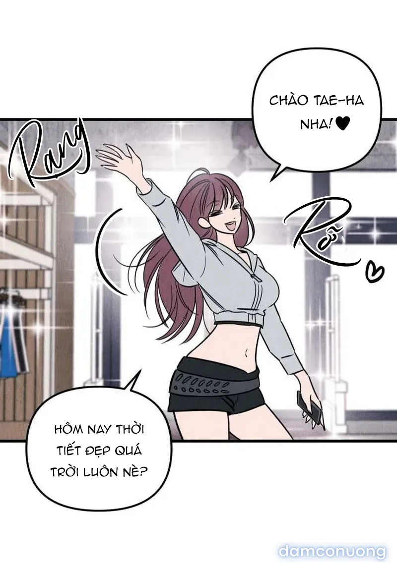 Câu Lạc Bộ Chị Đẹp 