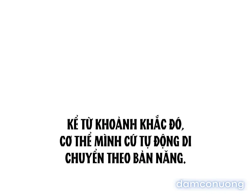 Câu Lạc Bộ Chị Đẹp 