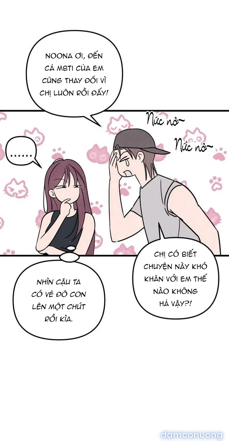 Câu Lạc Bộ Chị Đẹp 