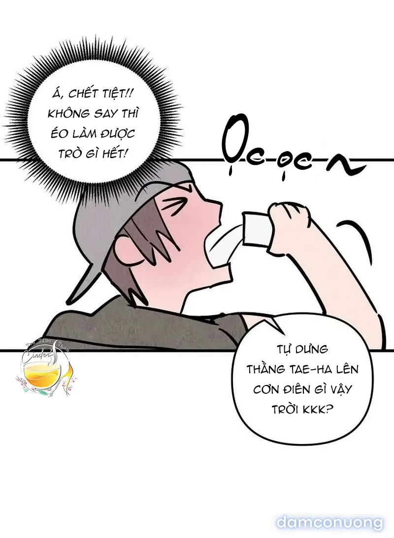 Câu Lạc Bộ Chị Đẹp 