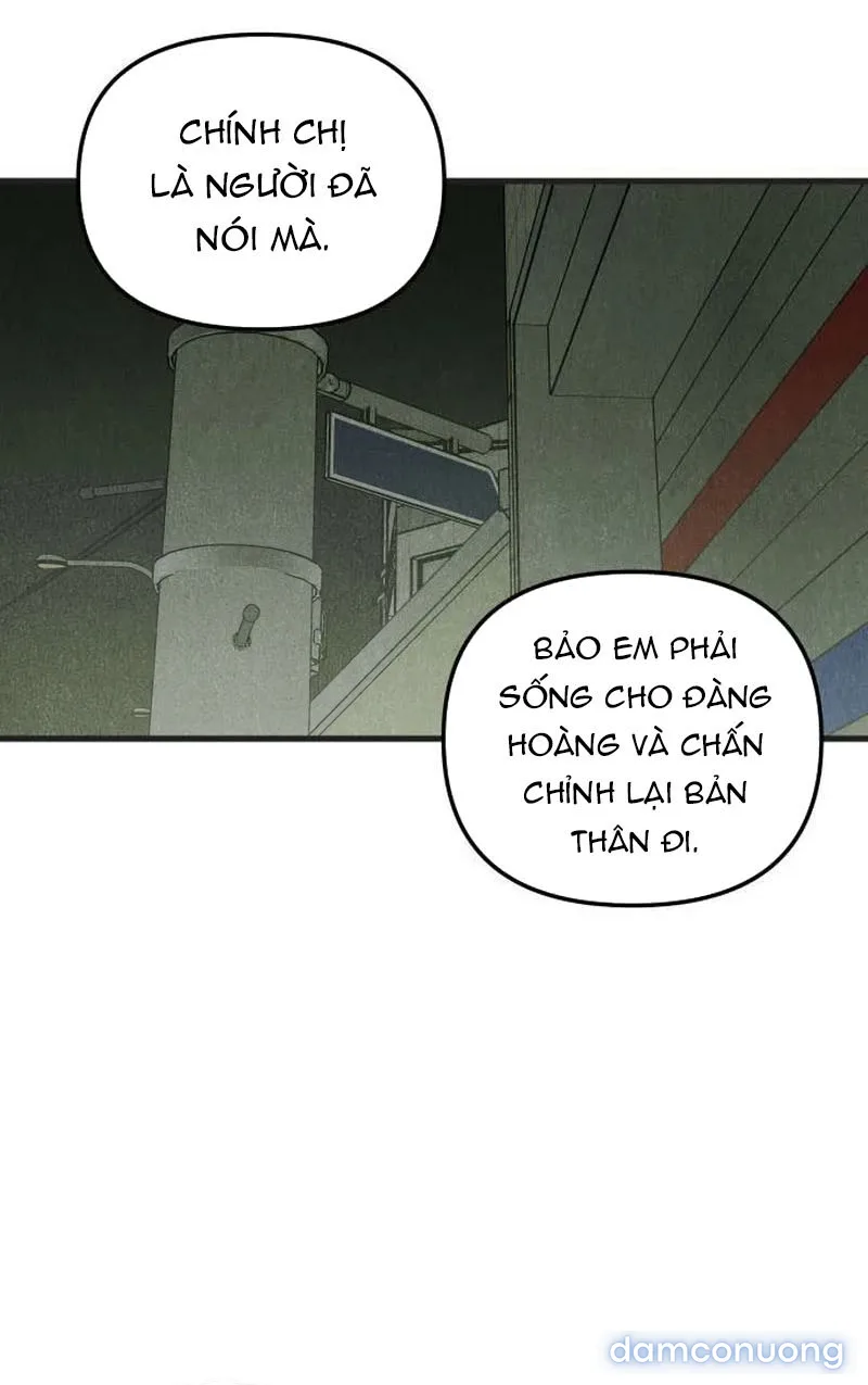 Câu Lạc Bộ Chị Đẹp 