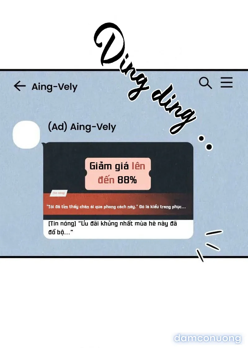 Câu Lạc Bộ Chị Đẹp 