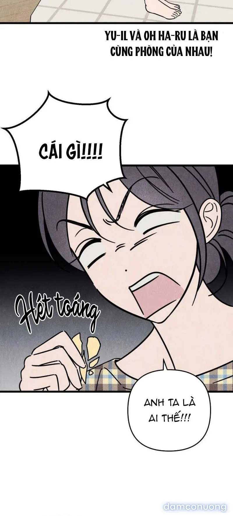 Câu Lạc Bộ Chị Đẹp 