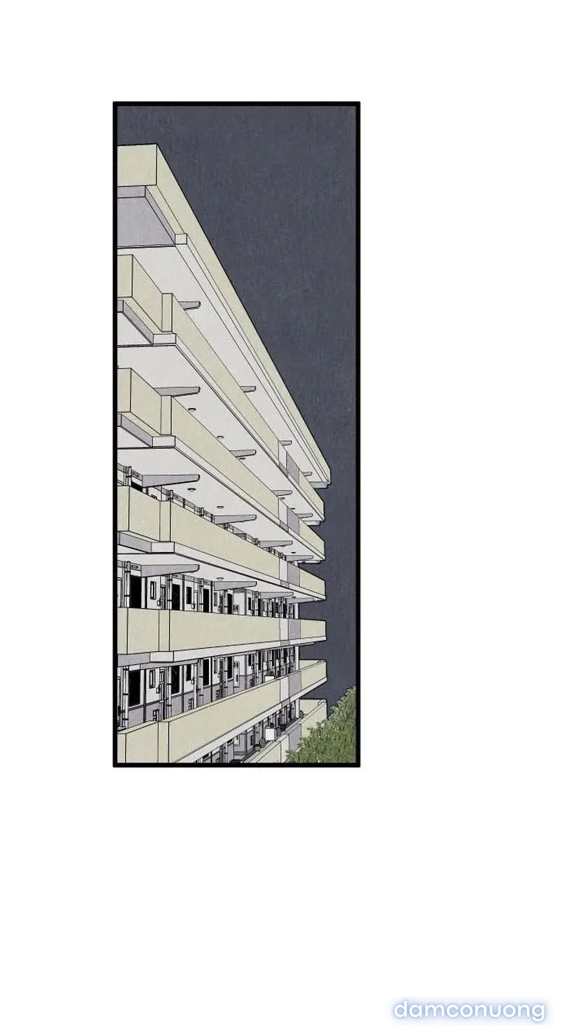 Câu Lạc Bộ Chị Đẹp 